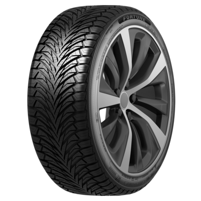 Prinx Fortune 205/50R17 93W XL Fitclime FSR-401 TL