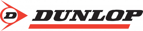 Шина Dunlop R15 195/55 85Q Graspic DS3 (Р)