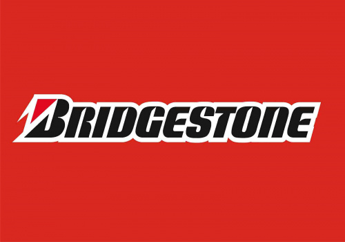 Шина Bridgestone R18 235/65 106S Blizzak DM V2 (лип)